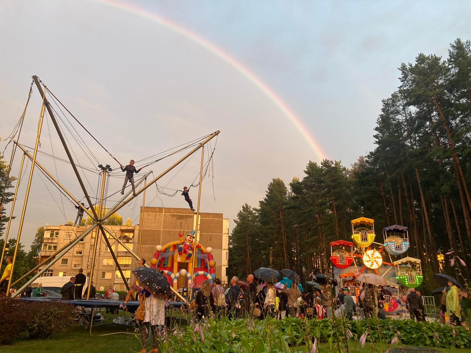 Šokdynė - nuotrauka 3